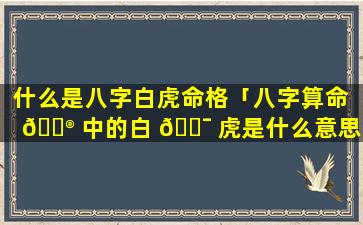 什么是八字白虎命格「八字算命 💮 中的白 🐯 虎是什么意思」